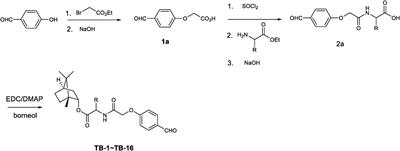 Design, synthesis and neuroprotective activity of compound derived from Gastrodia elata Blume and borneol